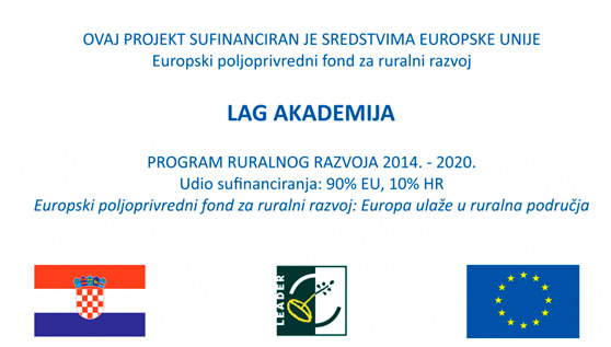 lag akademija